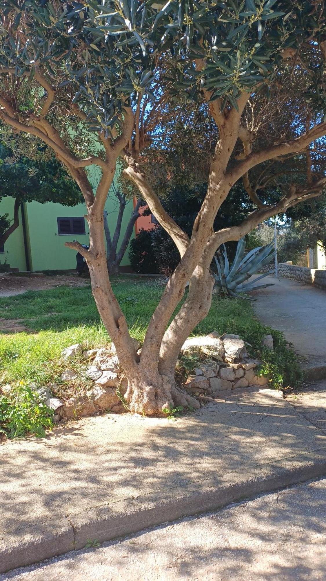 Dairos2 Apartment Mali Losinj Ngoại thất bức ảnh